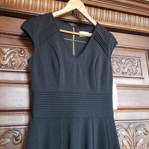 NWT Fit and Flare Dress